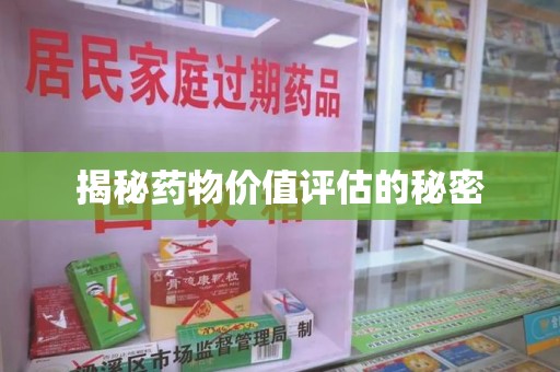 连云港揭秘药物价值评估的秘密