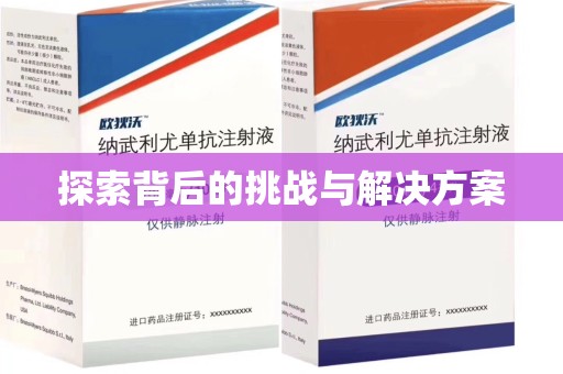 连云港探索背后的挑战与解决方案