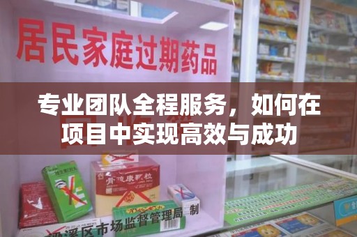 连云港专业团队全程服务，如何在项目中实现高效与成功