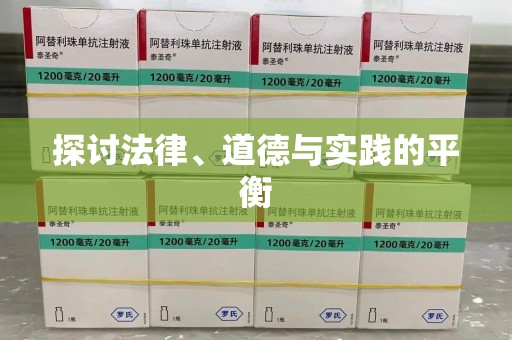 连云港探讨法律、道德与实践的平衡
