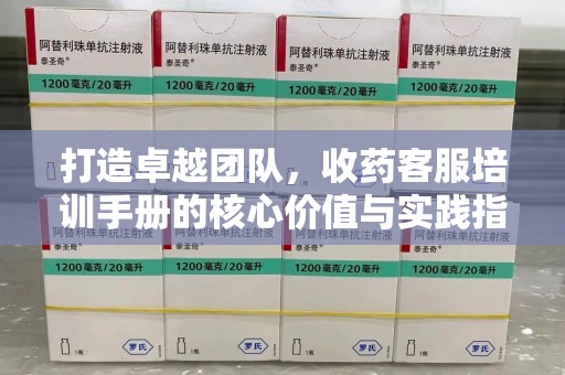 连云港打造卓越团队，收药客服培训手册的核心价值与实践指南