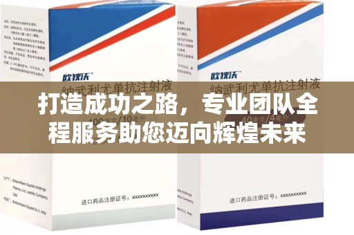 连云港打造成功之路，专业团队全程服务助您迈向辉煌未来