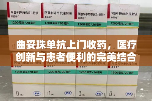 连云港曲妥珠单抗上门收药，医疗创新与患者便利的完美结合
