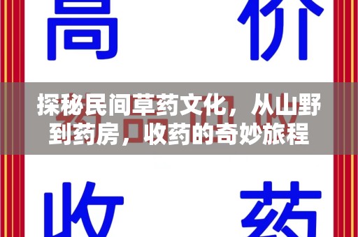 连云港探秘民间草药文化，从山野到药房，收药的奇妙旅程